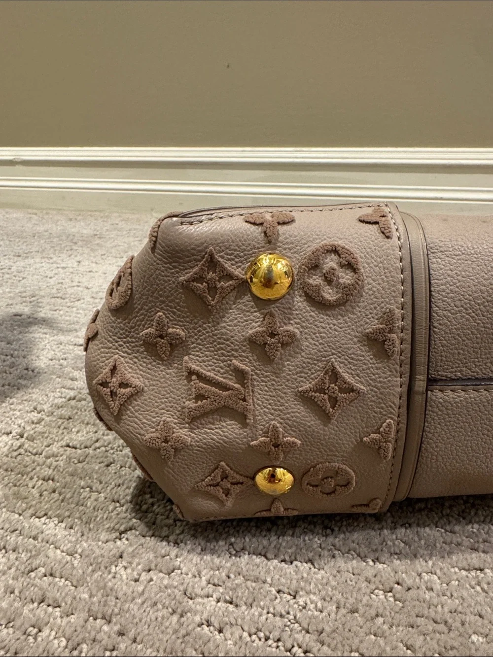 Louis Vuitton PM Mono Velour Galet Tote - Picture 13 of 16